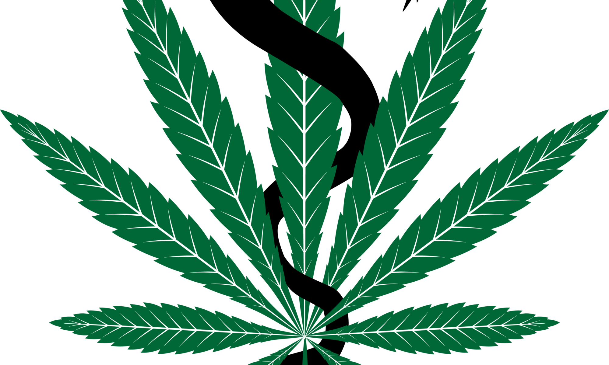 Cannabispatienteninfo Logo Beratungsagentur